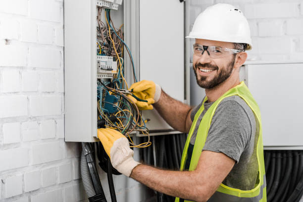 Best Home Electrical Repair  in Bad Axe, MI